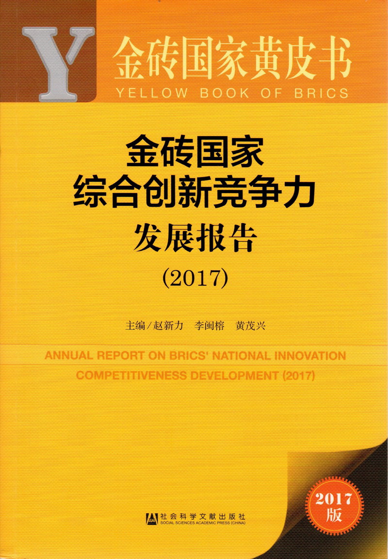 美女被操视频在线观看金砖国家综合创新竞争力发展报告（2017）